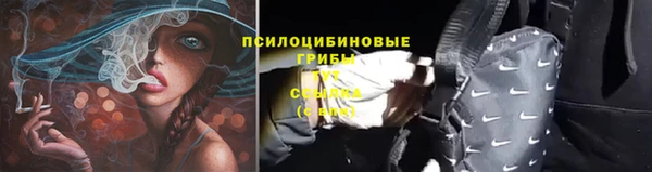 прущая мука Нея