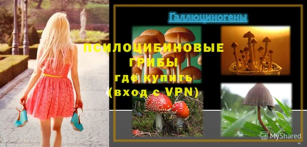 не бодяженный Няндома
