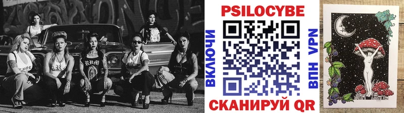 darknet как зайти Новодвинск Псилоцибиновые грибы Cubensis