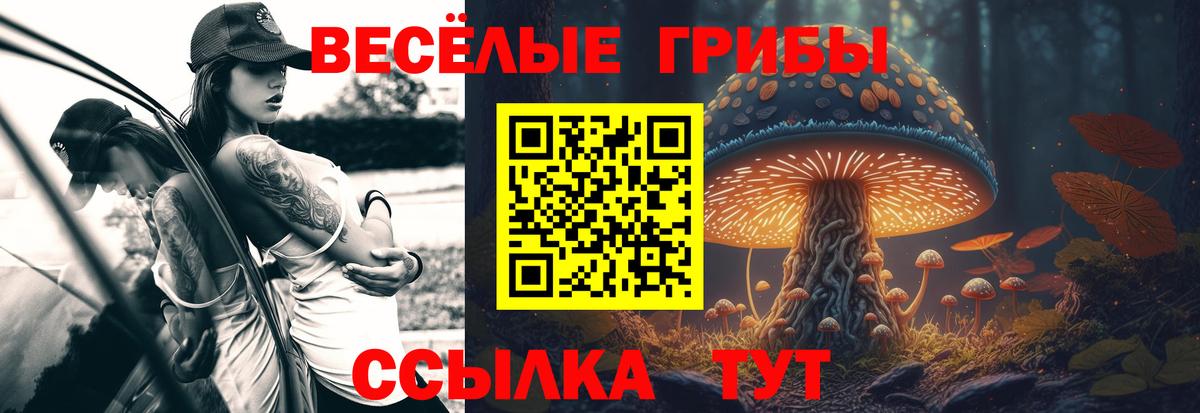 Галлюциногенные грибы GOLDEN TEACHER  Вход с VPN  Новодвинск 